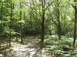 Crookhamhill Common